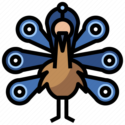 Animal, kingdom, life, peacock, wild, zoo icon - Download on Iconfinder