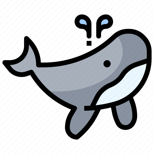 Animal, kingdom, life, whale, wild, zoo icon - Download on Iconfinder