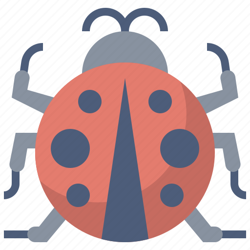 Animal, kingdom, ladybug, life, wild, zoo icon - Download on Iconfinder