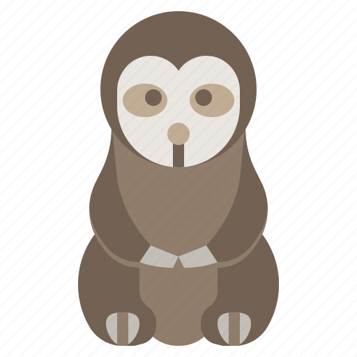 Animal, kingdom, life, sloth, wild, zoo icon - Download on Iconfinder