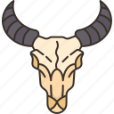 buffalo, skull, head, horn, cattle