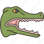 crocodile, alligator, head, hunter, danger 