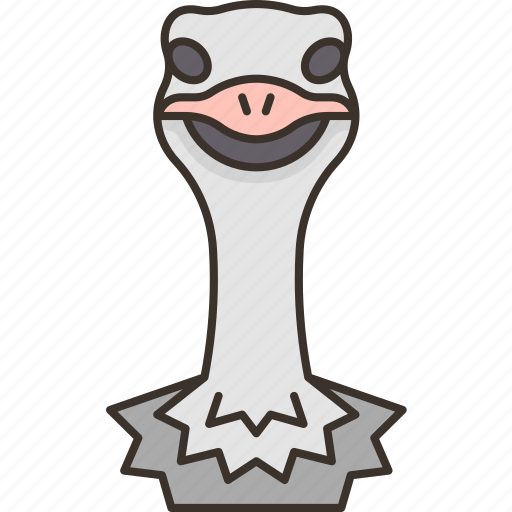 Ostrich, head, bird, wildlife, animal icon - Download on Iconfinder