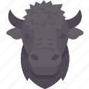 bison, buffalo, head, horn, animal