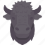 bison, buffalo, head, horn, animal 