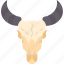 buffalo, skull, head, horn, cattle 