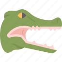 crocodile, alligator, head, hunter, danger