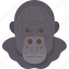 gorilla, head, mammal, primate, jungle 