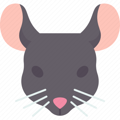 Mouse, rat, head, rodent, pet icon - Download on Iconfinder