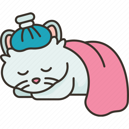 Cat, sick, pet, care, health icon - Download on Iconfinder