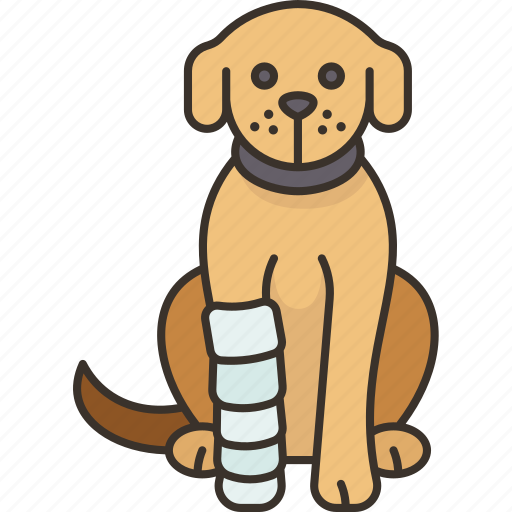 Dog, splint, fracture, injury, recovery icon - Download on Iconfinder