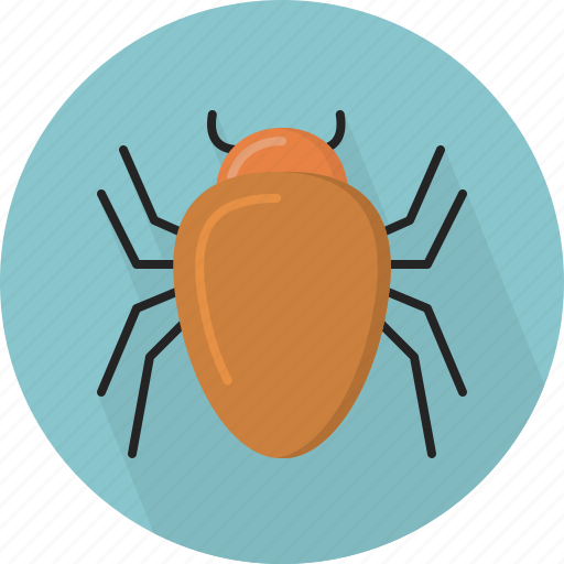 Animal, bug icon - Download on Iconfinder on Iconfinder
