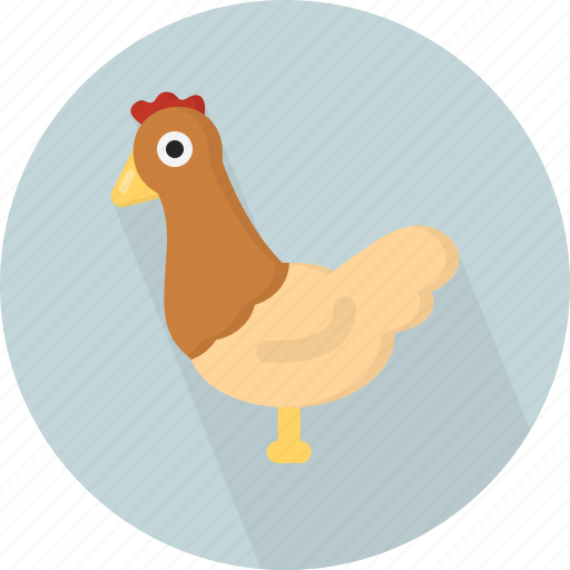 Animal, chicken icon - Download on Iconfinder on Iconfinder