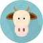 animal, cow 