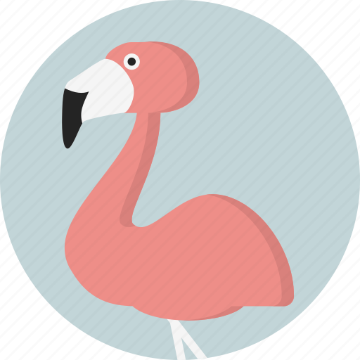 Animal, flamingo, jungle, safari, zoo icon - Download on Iconfinder