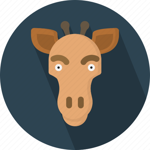 Animal, giraffe, safari, zoo icon - Download on Iconfinder