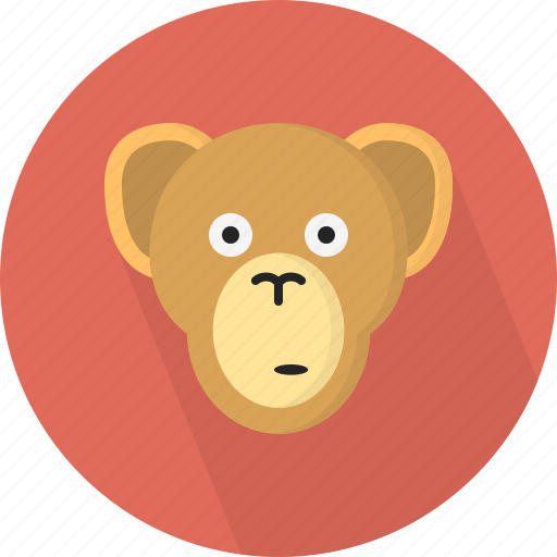 Animal, jungle, monkey, zoo icon - Download on Iconfinder