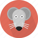 animal, mouse
