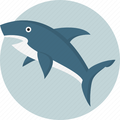 Animal, danger, sea, shark icon - Download on Iconfinder