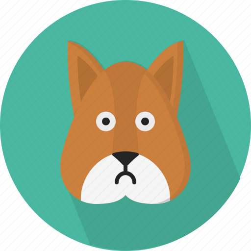 Animal, squirrel icon - Download on Iconfinder on Iconfinder