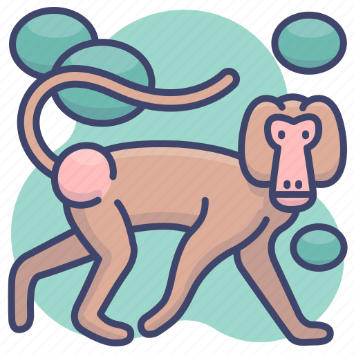 Animal, baboon, monkey, zoo icon - Download on Iconfinder
