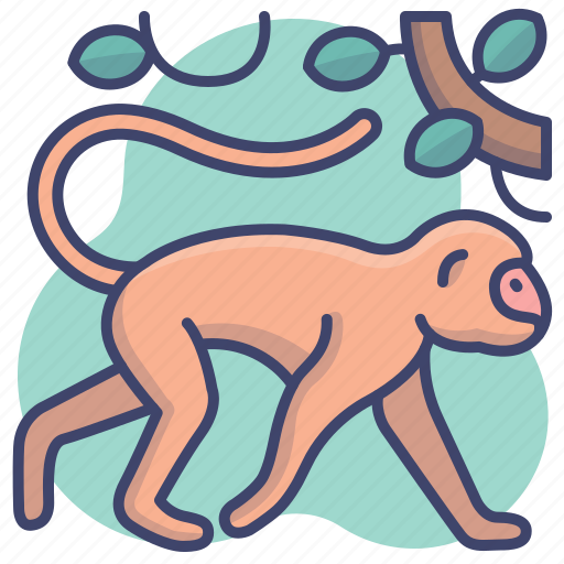 Animal, baboon, monkey, zoo icon - Download on Iconfinder