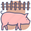animal, farm, pig, piglet 