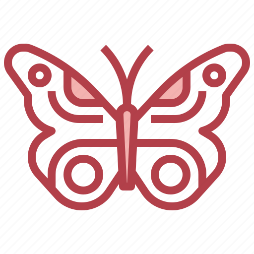 Animal, butterfly, kingdom, life, wild, zoo icon - Download on Iconfinder