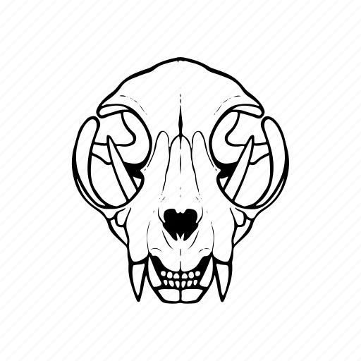 Skull, cat, pet, death, skeleton, dead, animals icon - Download on Iconfinder