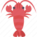 crayfish, seafood, lobster, cooking, crustacea