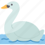 swan, cygnus, wing, animal, water 