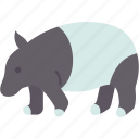 tapir, herbivore, animal, wildlife, zoo