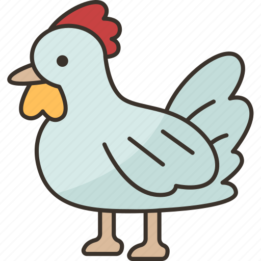 Chicken, hen, poultry, livestock, agriculture icon - Download on Iconfinder