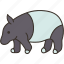 tapir, herbivore, animal, wildlife, zoo 
