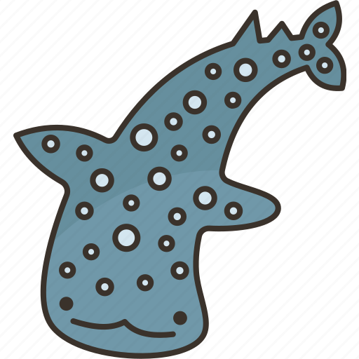 Whale, shark, fauna, underwater, ocean icon - Download on Iconfinder