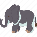 elephant, wildlife, mammal, trunk, animal