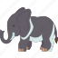 elephant, wildlife, mammal, trunk, animal 
