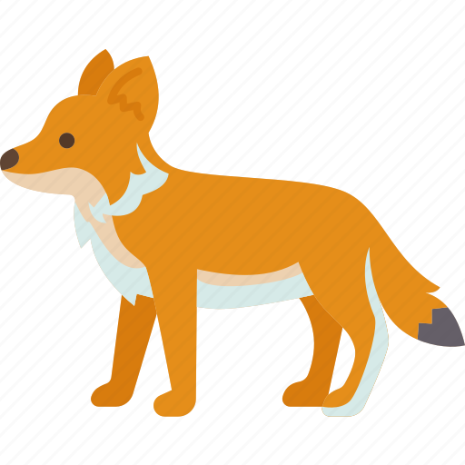 Fox, wildlife, predator, mammal, animal icon - Download on Iconfinder