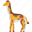 giraffe, wildlife, safari, animal, africa 