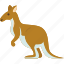 kangaroo, marsupial, wildlife, mammal, australia 