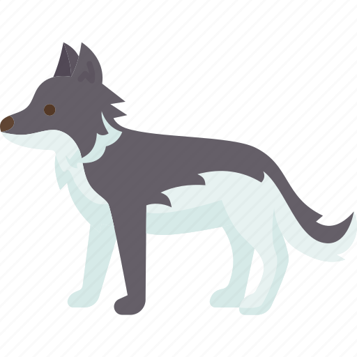 Wolf, canine, wildlife, predator, carnivore icon - Download on Iconfinder
