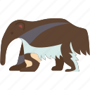 anteater, long, snout, forest, fauna