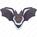 bat, nocturnal, cave, mammal, echolocation