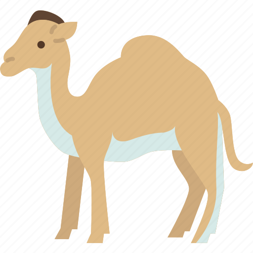 Camel, humps, ungulate, desert, bedouin icon - Download on Iconfinder