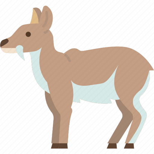 Musk, deer, doe, mammal, wildlife icon - Download on Iconfinder