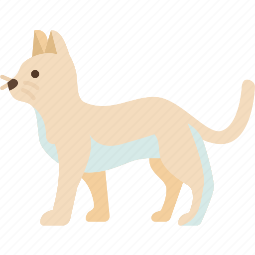 Cat, feline, domestic, pet, animal icon - Download on Iconfinder