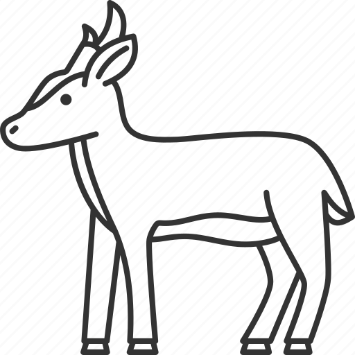 Barking, deer, muntjac, fawn, antler icon - Download on Iconfinder
