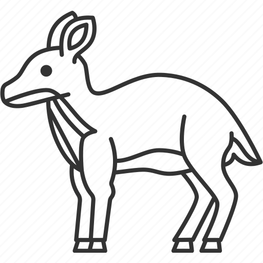 Chevrotain, fawn, doe, ungulate, hoof icon - Download on Iconfinder