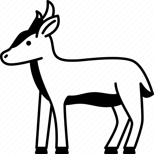 Barking, deer, muntjac, fawn, antler icon - Download on Iconfinder