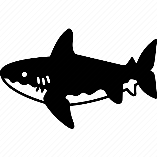 Shark, ocean, apex, predator, danger icon - Download on Iconfinder
